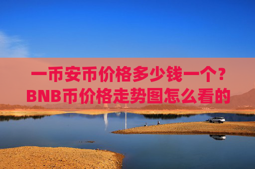 一币安币价格多少钱一个？BNB币价格走势图怎么看的(现价4807.53元)