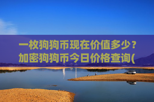 一枚狗狗币现在价值多少？加密狗狗币今日价格查询(现价2.3117元)