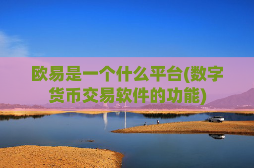 欧易是一个什么平台(数字货币交易软件的功能)