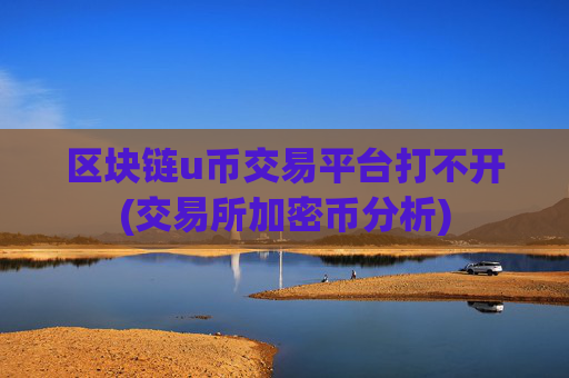 区块链u币交易平台打不开(交易所加密币分析)