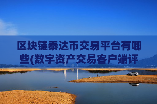 区块链泰达币交易平台有哪些(数字资产交易客户端评比)