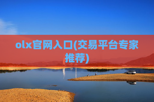 olx官网入口(交易平台专家推荐)