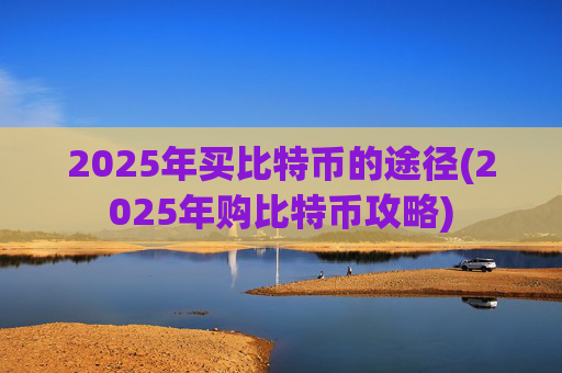 2025年买比特币的途径(2025年购比特币攻略)