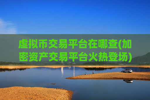 虚拟币交易平台在哪查(加密资产交易平台火热登场)