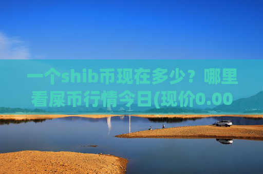 一个shib币现在多少？哪里看屎币行情今日(现价0.00015983元)