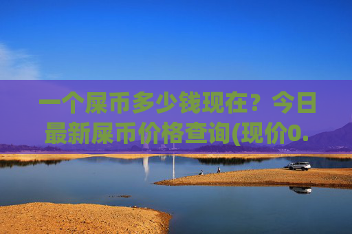 一个屎币多少钱现在？今日最新屎币价格查询(现价0.00016056元)