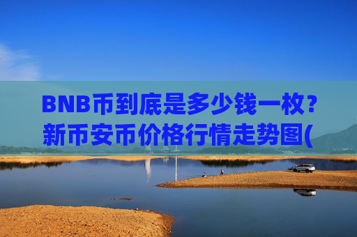 BNB币到底是多少钱一枚？新币安币价格行情走势图(现价4907.44元)