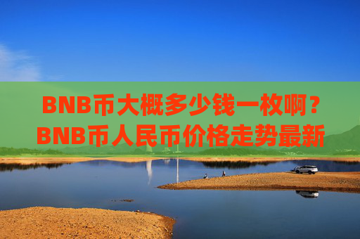 BNB币大概多少钱一枚啊？BNB币人民币价格走势最新(现价4924.21元)