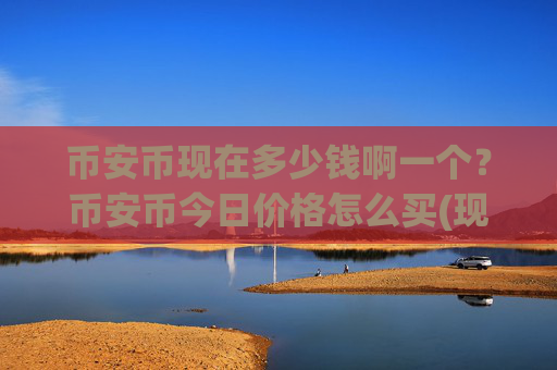 币安币现在多少钱啊一个？币安币今日价格怎么买(现价4912.19元)