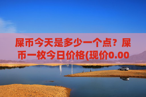 屎币今天是多少一个点?屎币一枚今日价格(现价0.00016218元)