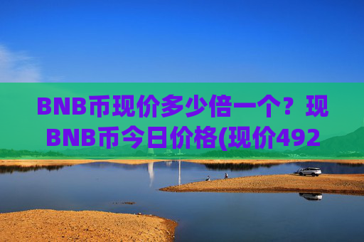BNB币现价多少倍一个？现BNB币今日价格(现价4920.36元)