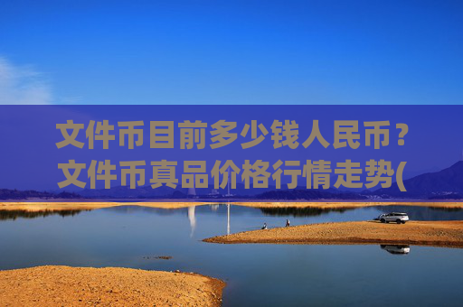 文件币目前多少钱人民币？文件币真品价格行情走势(现价38.3114元)