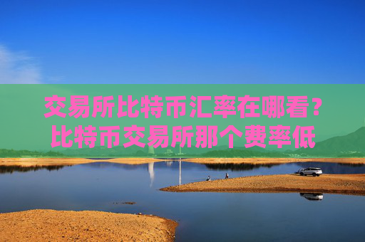 交易所比特币汇率在哪看？比特币交易所那个费率低