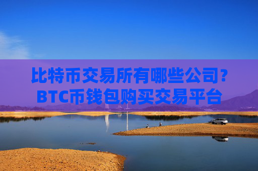 比特币交易所有哪些公司？BTC币钱包购买交易平台
