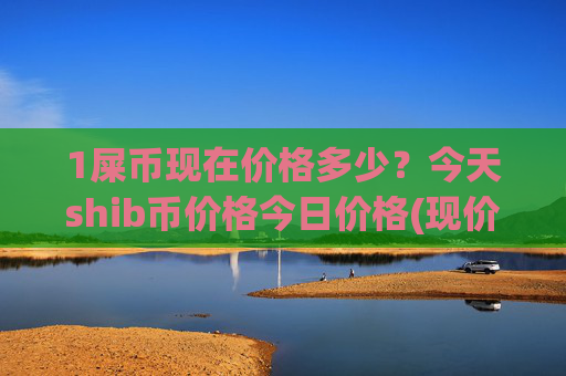 1屎币现在价格多少？今天shib币价格今日价格(现价0.00016116元)