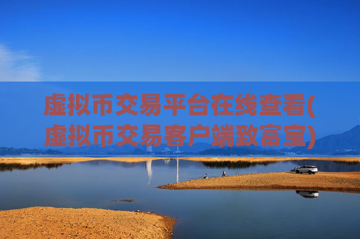 虚拟币交易平台在线查看(虚拟币交易客户端致富宝)