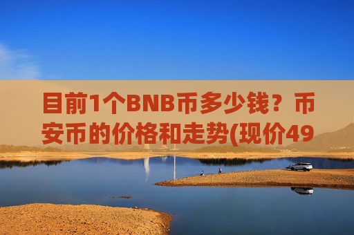 目前1个BNB币多少钱？币安币的价格和走势(现价4923.84元)