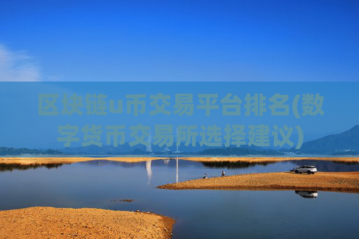 区块链u币交易平台排名(数字货币交易所选择建议)