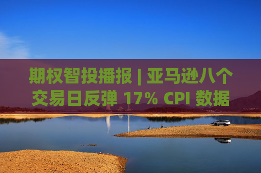 期权智投播报 | 亚马逊八个交易日反弹 17% CPI 数据于今晚发布