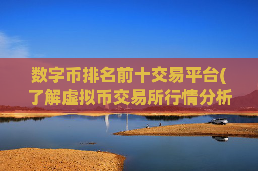 数字币排名前十交易平台(了解虚拟币交易所行情分析)
