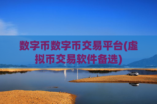 数字币数字币交易平台(虚拟币交易软件备选)