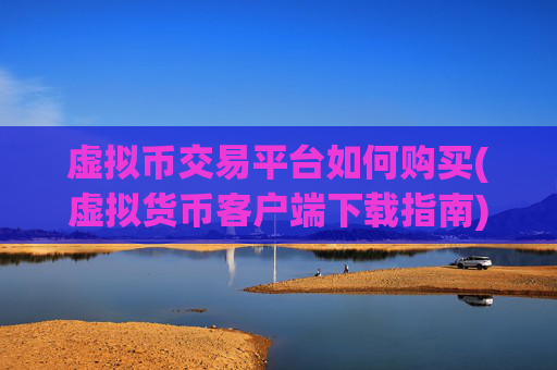 虚拟币交易平台如何购买(虚拟货币客户端下载指南)