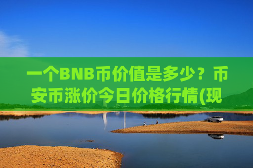一个BNB币价值是多少？币安币涨价今日价格行情(现价4928.14元)