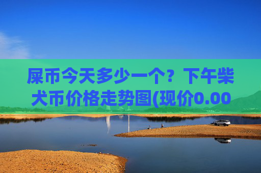 屎币今天多少一个?下午柴犬币价格走势图(现价0.00015608元)
