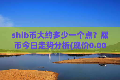 shib币大约多少一个点？屎币今日走势分析(现价0.00015779元)