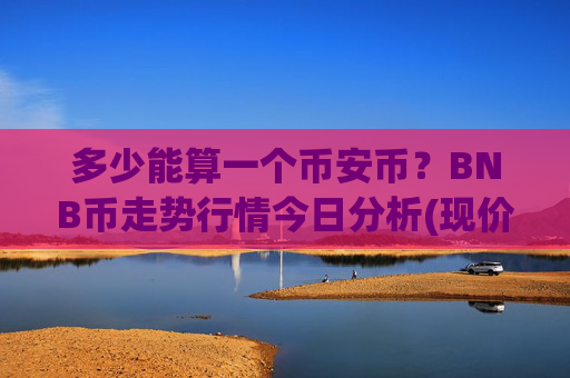 多少能算一个币安币?BNB币走势行情今日分析(现价4899.08元)