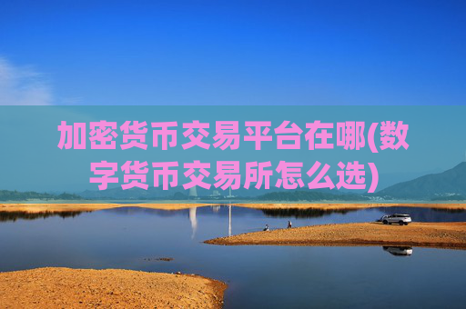 加密货币交易平台在哪(数字货币交易所怎么选)