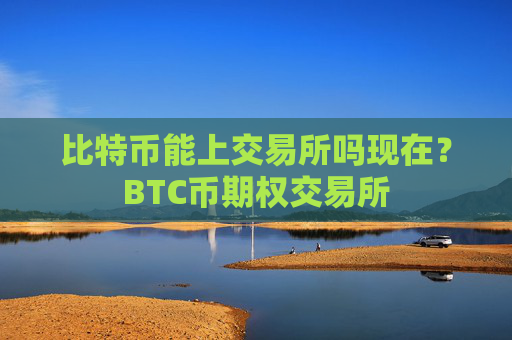 比特币能上交易所吗现在？BTC币期权交易所