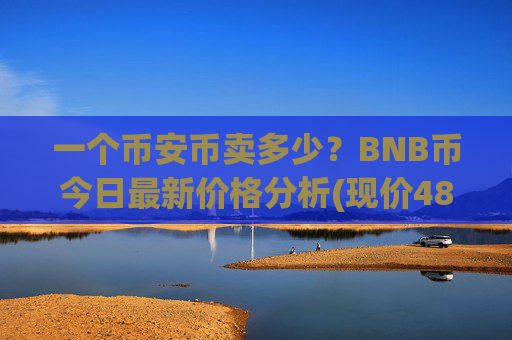 一个币安币卖多少?BNB币今日最新价格分析(现价4894.51元)