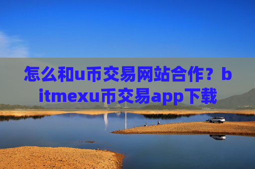 怎么和u币交易网站合作？bitmexu币交易app下载