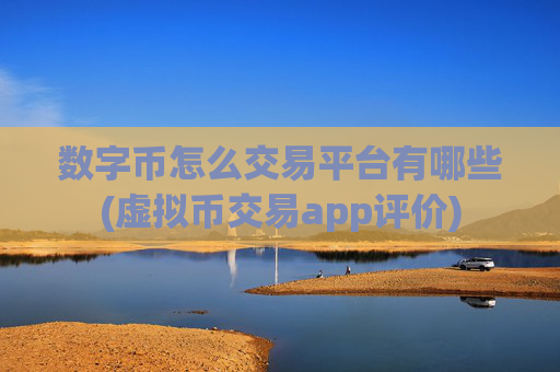 数字币怎么交易平台有哪些(虚拟币交易app评价)