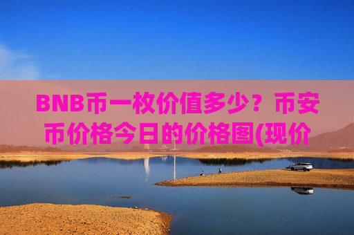 BNB币一枚价值多少？币安币价格今日的价格图(现价4881.83元)