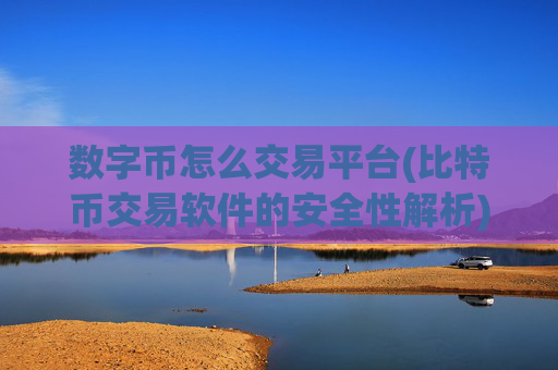 数字币怎么交易平台(比特币交易软件的安全性解析)