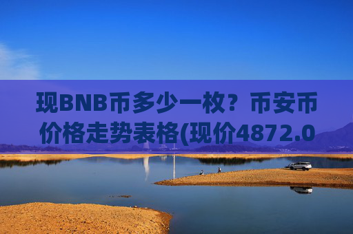 现BNB币多少一枚？币安币价格走势表格(现价4872.05元)