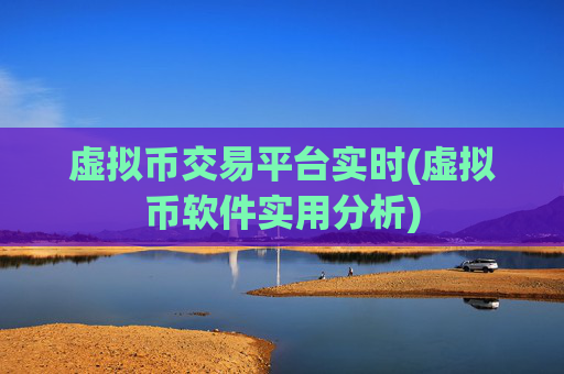 虚拟币交易平台实时(虚拟币软件实用分析)