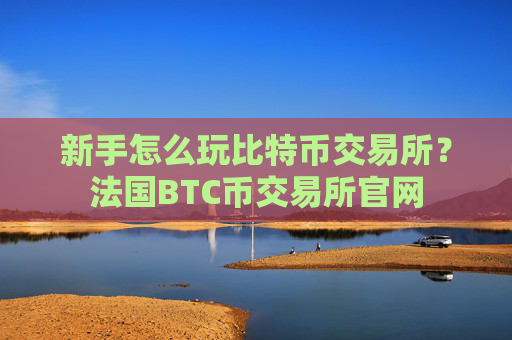 新手怎么玩比特币交易所？法国BTC币交易所官网