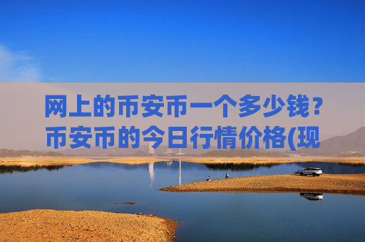 网上的币安币一个多少钱？币安币的今日行情价格(现价4930.57元)