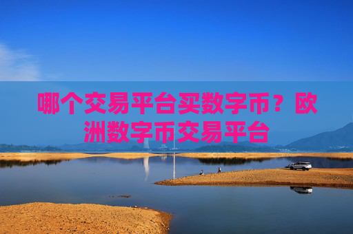 哪个交易平台买数字币？欧洲数字币交易平台