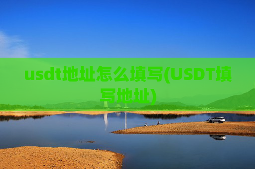usdt地址怎么填写(USDT填写地址)