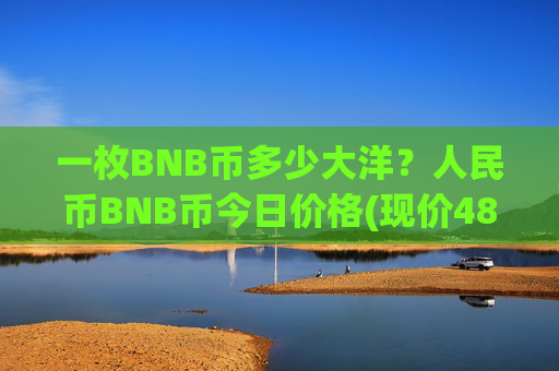 一枚BNB币多少大洋？人民币BNB币今日价格(现价4875.35元)