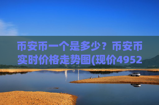 币安币一个是多少？币安币实时价格走势图(现价4952.03元)