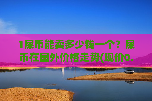 1屎币能卖多少钱一个?屎币在国外价格走势(现价0.00016371元)