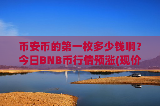 币安币的第一枚多少钱啊？今日BNB币行情预涨(现价4938.37元)