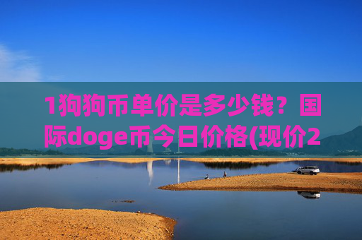 1狗狗币单价是多少钱？国际doge币今日价格(现价2.3178元)