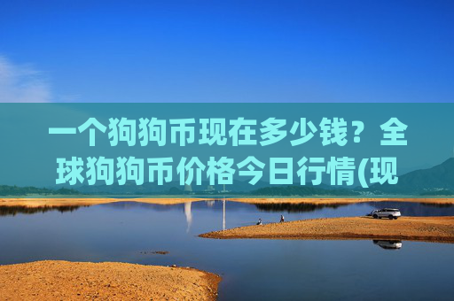 一个狗狗币现在多少钱？全球狗狗币价格今日行情(现价2.3084元)