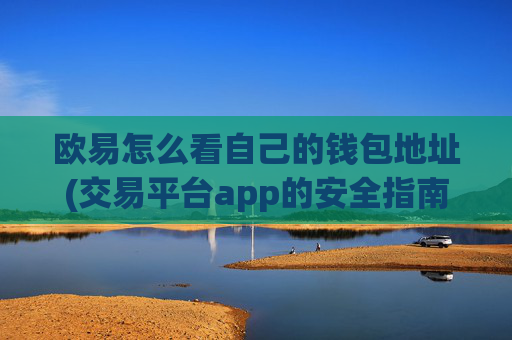 欧易怎么看自己的钱包地址(交易平台app的安全指南)